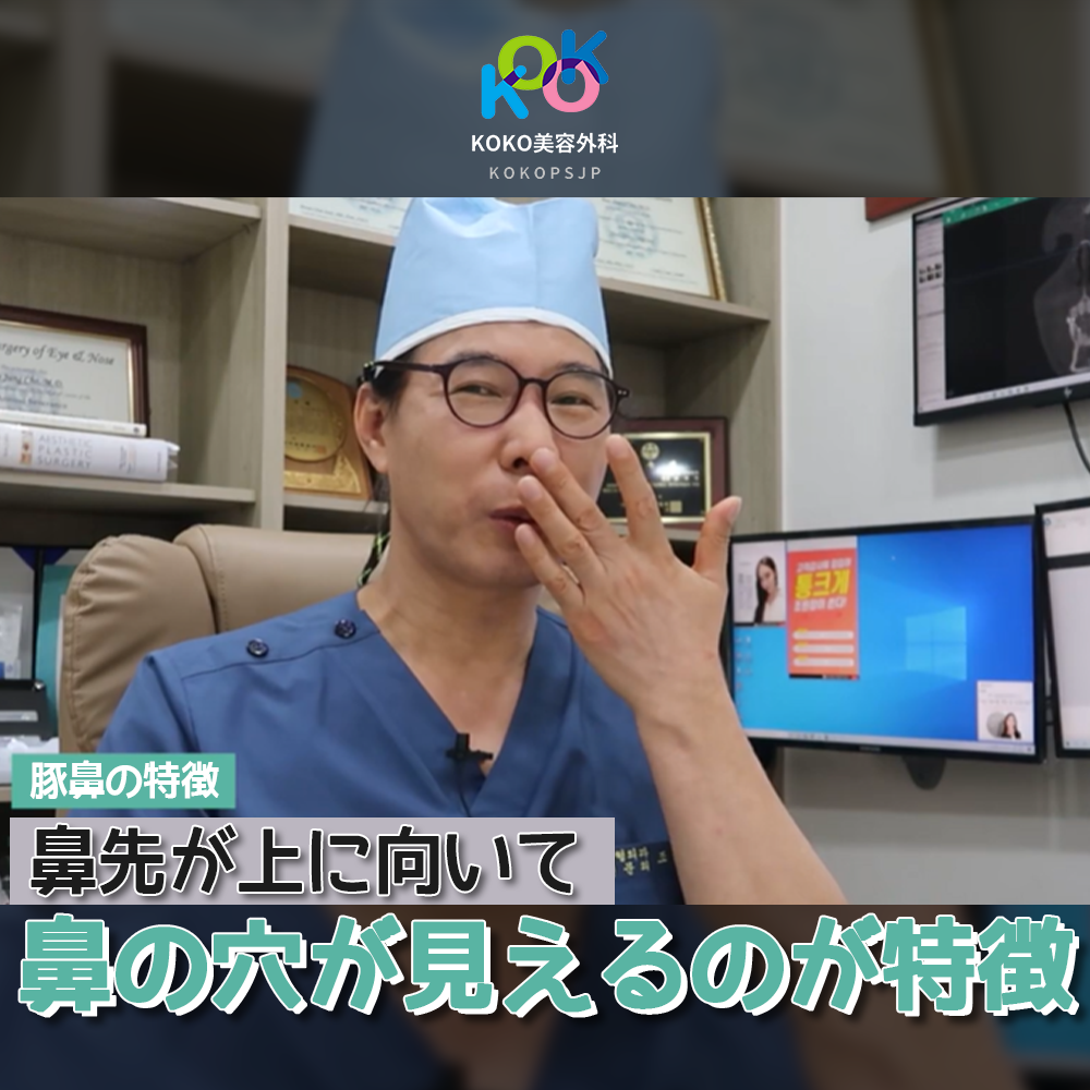 豚鼻の特徴
