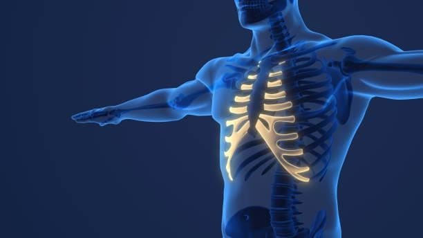 KOKO美容外科での自家肋軟骨を使用した鼻整形での肋軟骨の参考画像