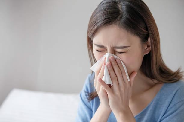 KOKO美容外科での鼻中隔手術の参考画像