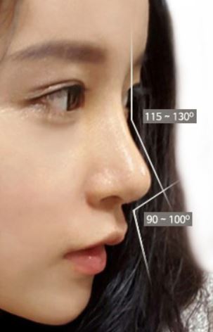 理想的な鼻の角度を示した女性の横顔の画像。額から鼻筋にかけての角度(鼻前頭角)が「115〜130度」、鼻先から上唇にかけての角度(鼻唇角)が「90〜100度」であることが図解されています。