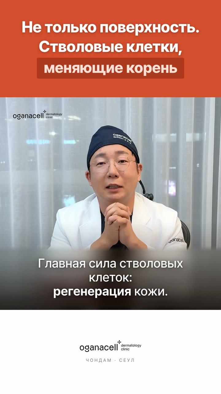 Стволовые клетки и кожа