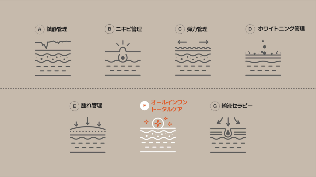 韓国ソウルプレミアム皮膚科オガナセルのオールインワントータルスキンケアシステムです。