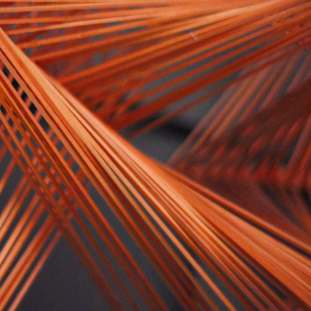 Intricate orange threads representing the network of skin collagen fibers