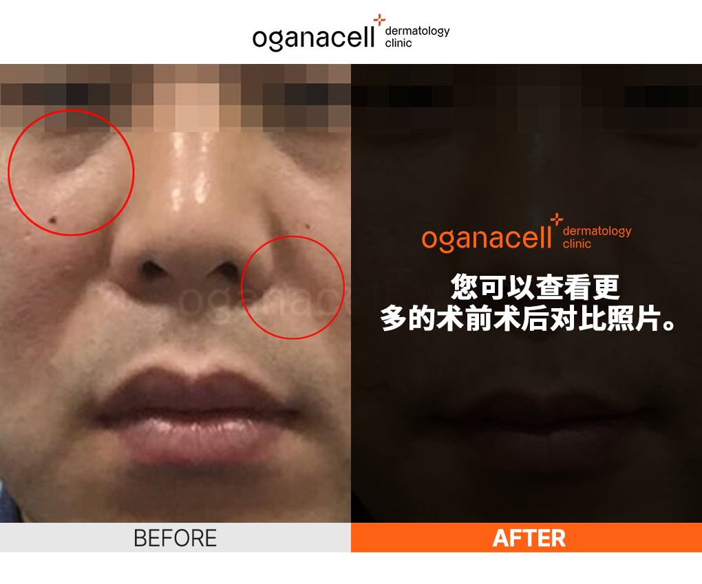 oganaskin 06_zh