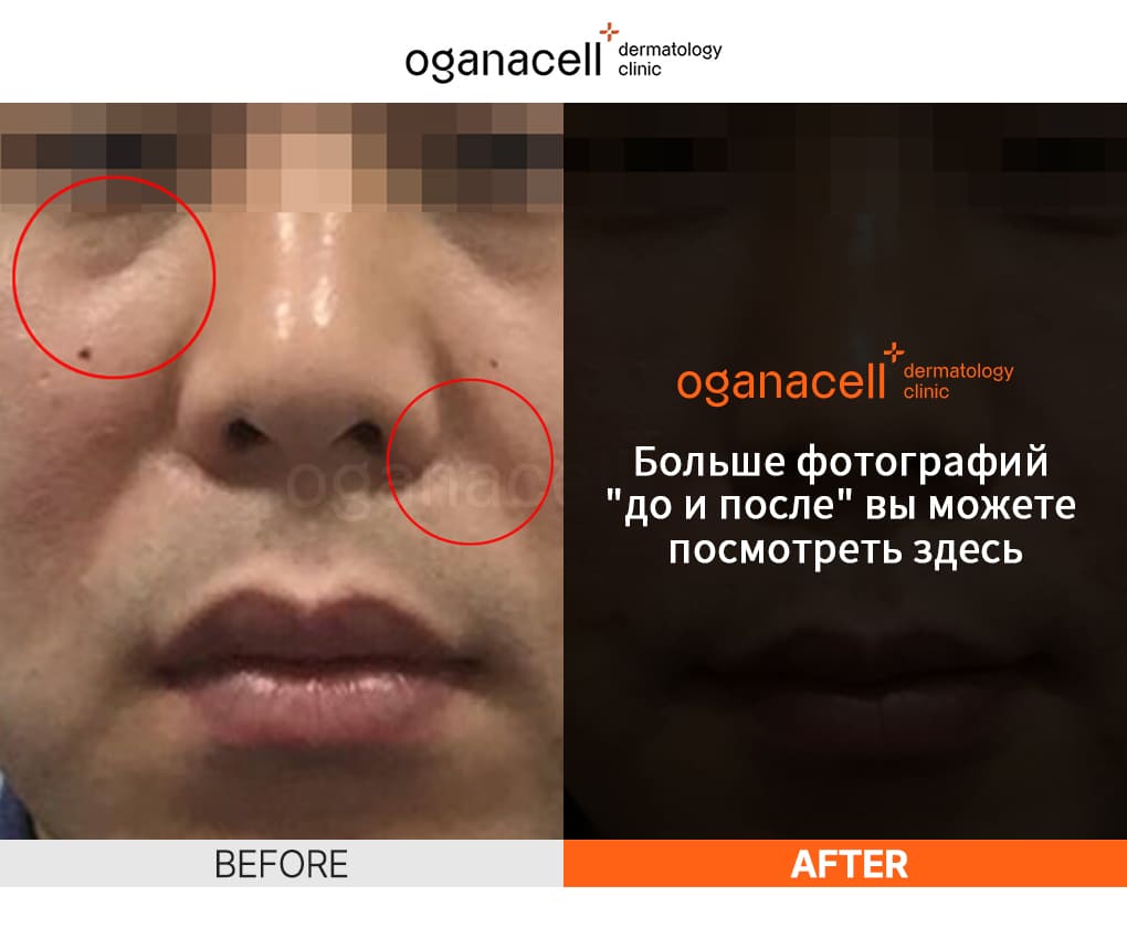 oganaskin 06 ru
