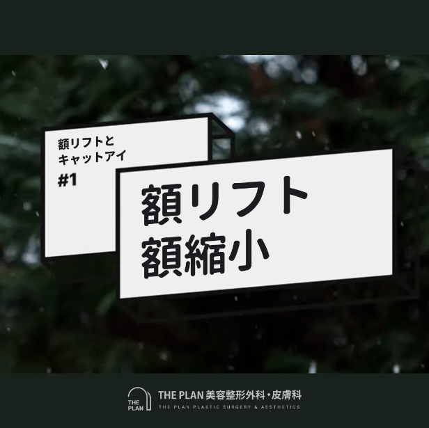 韓国額リフト