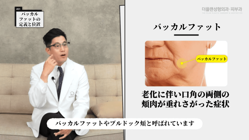バッカルファットの改善と除去方法についての説明画像